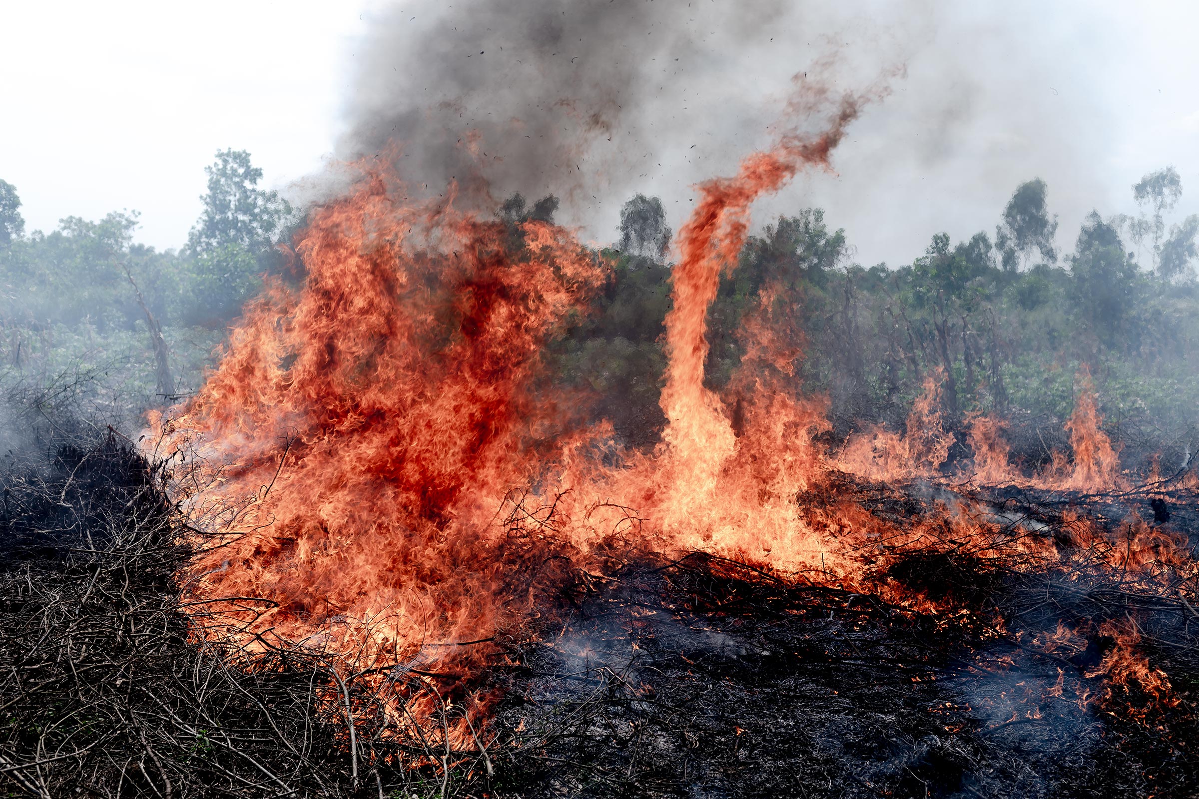 Fotoreportage von Michael Braunschädel einem Fotografen aus Frankfurt.