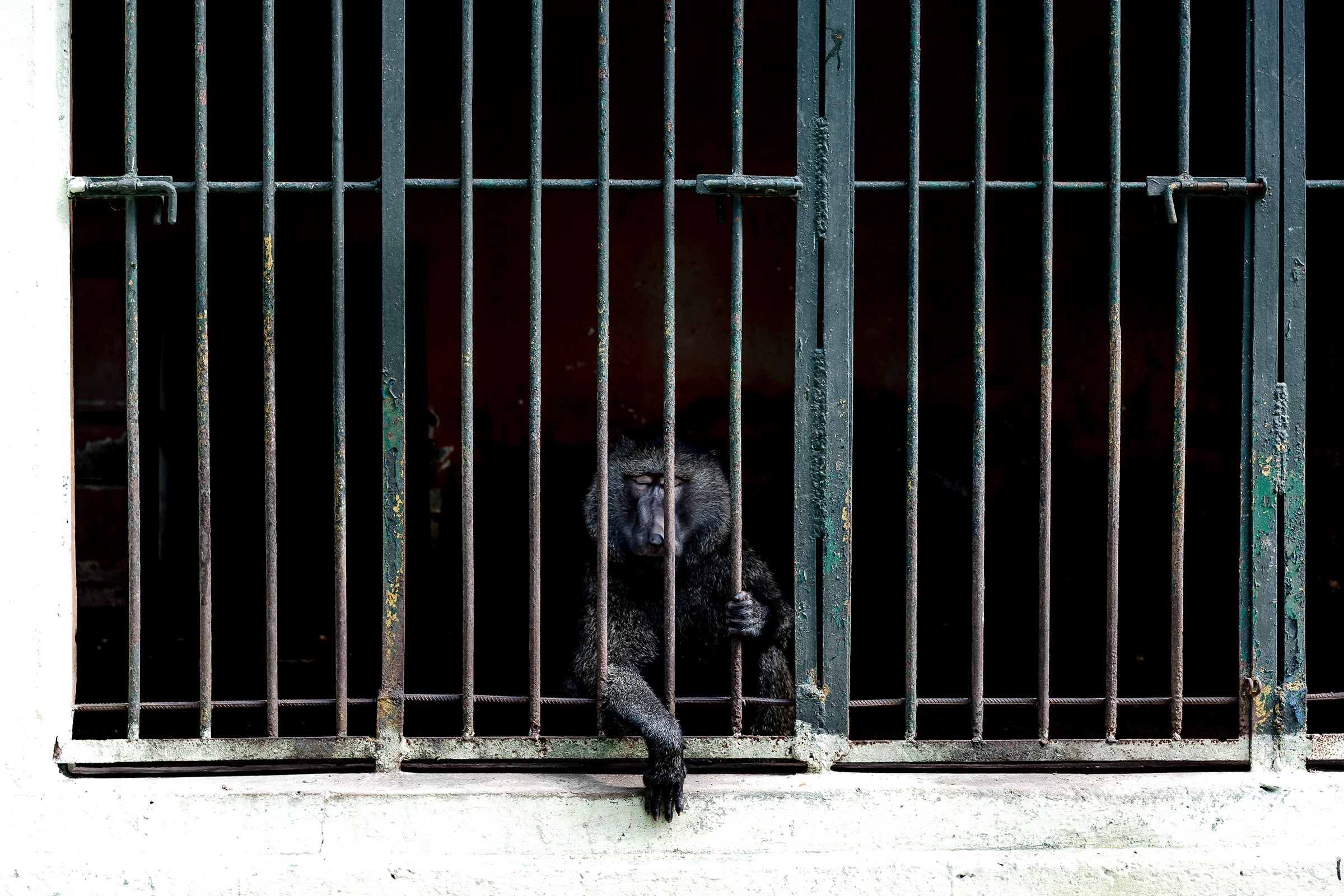 Fotoreportage Michael Braunschädel Fotograf aus Frankfurt am Main